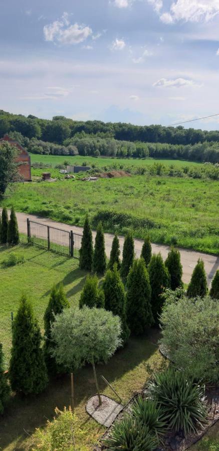 Przyjazny Domek Tarnowskie Góry Esterno foto